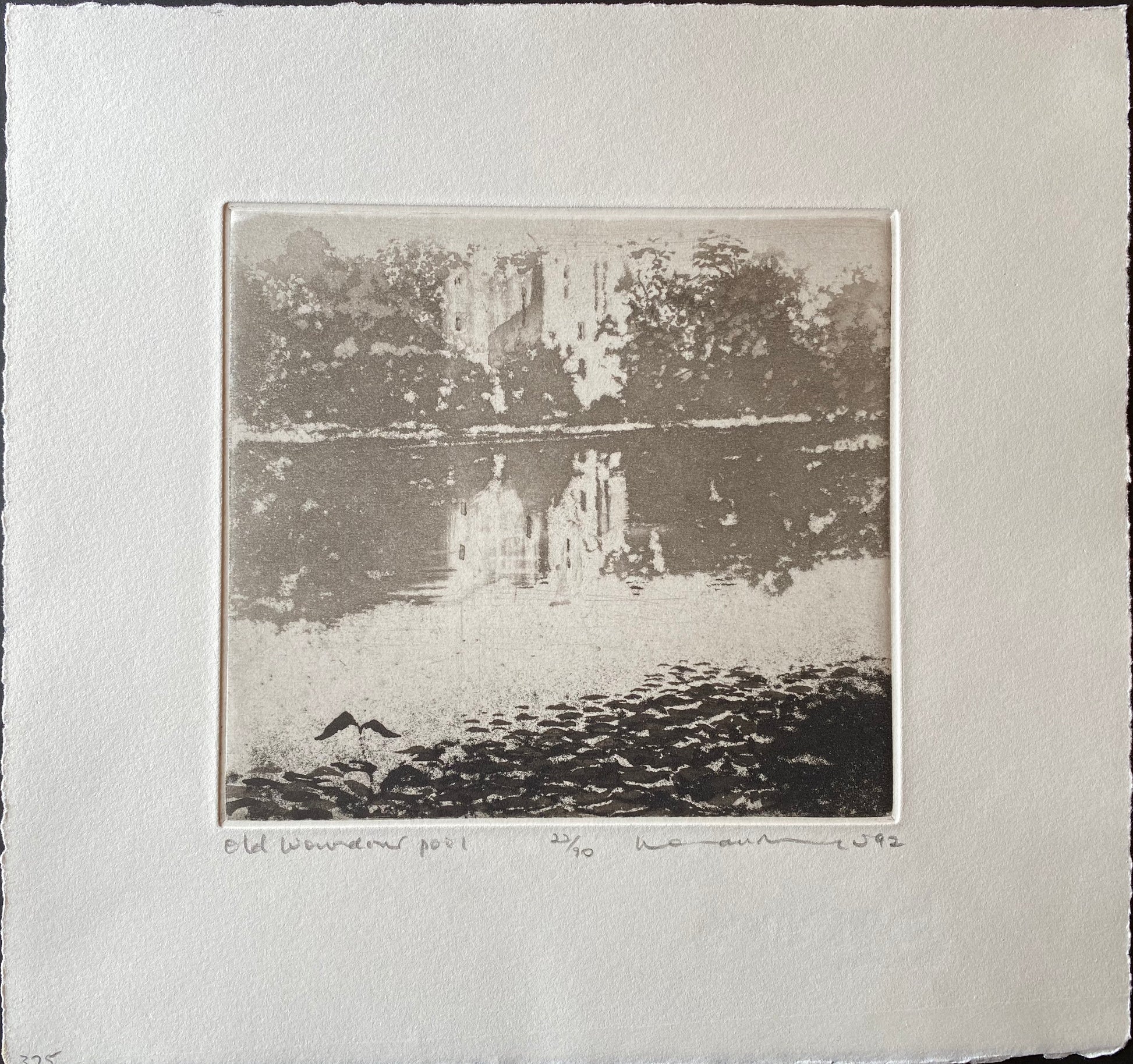 Old Wardour Pool