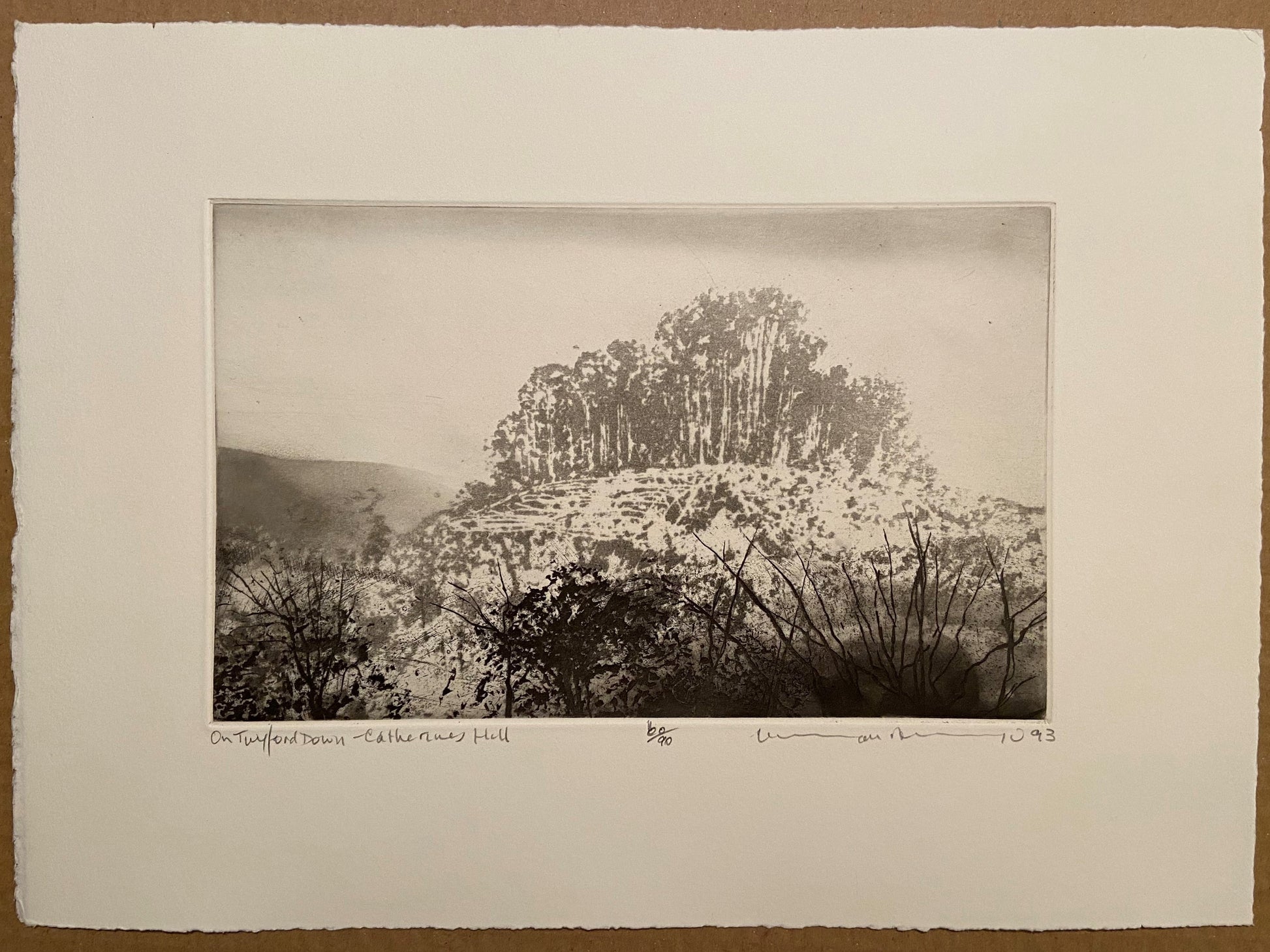 On Twyford Down, St. Catherines Hill
