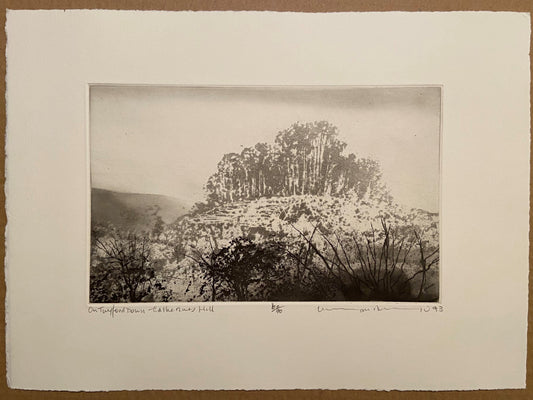 On Twyford Down, St. Catherines Hill