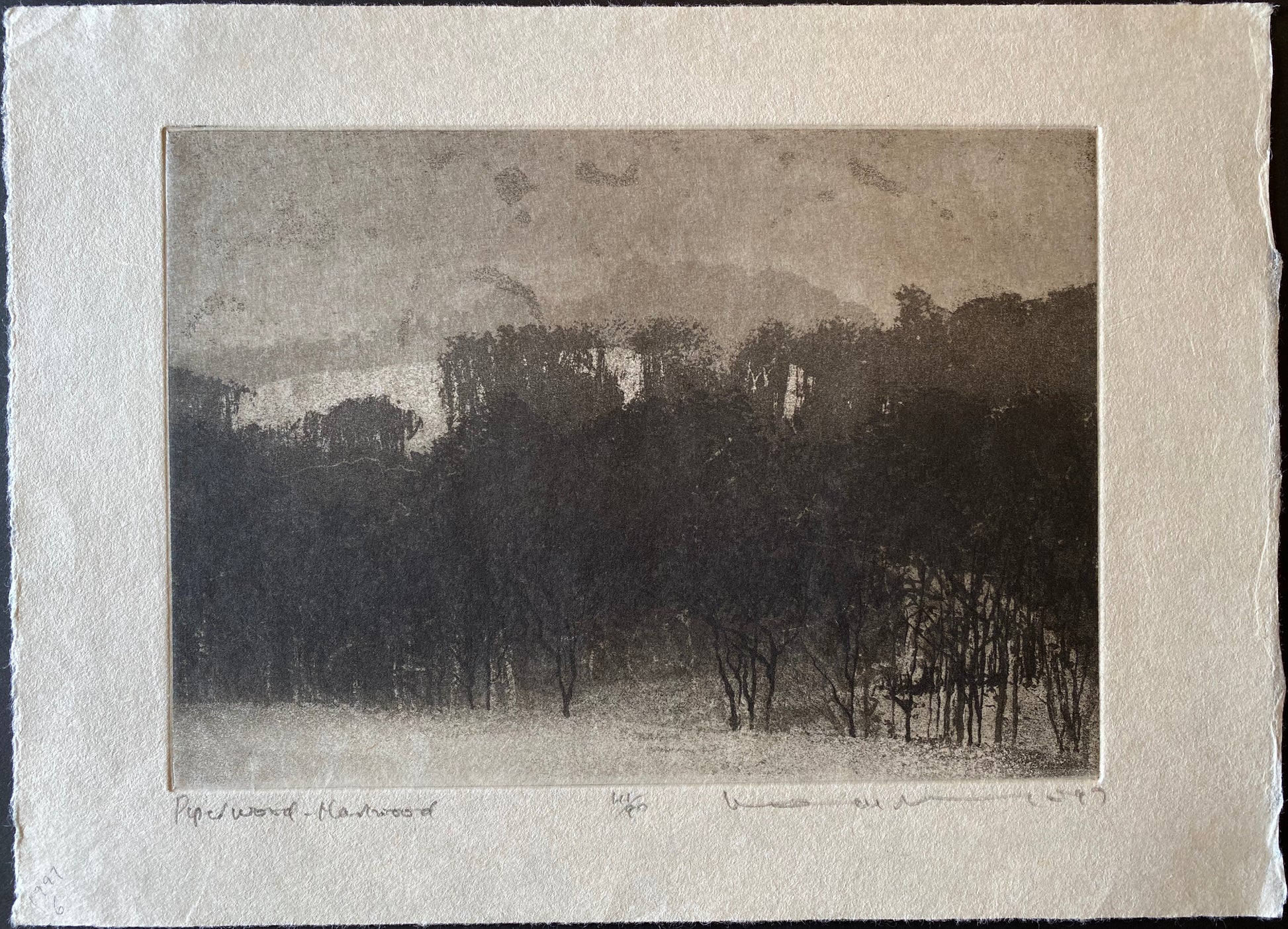Piper Wood, Harewood