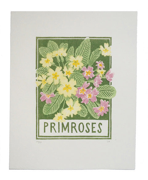 Primroses