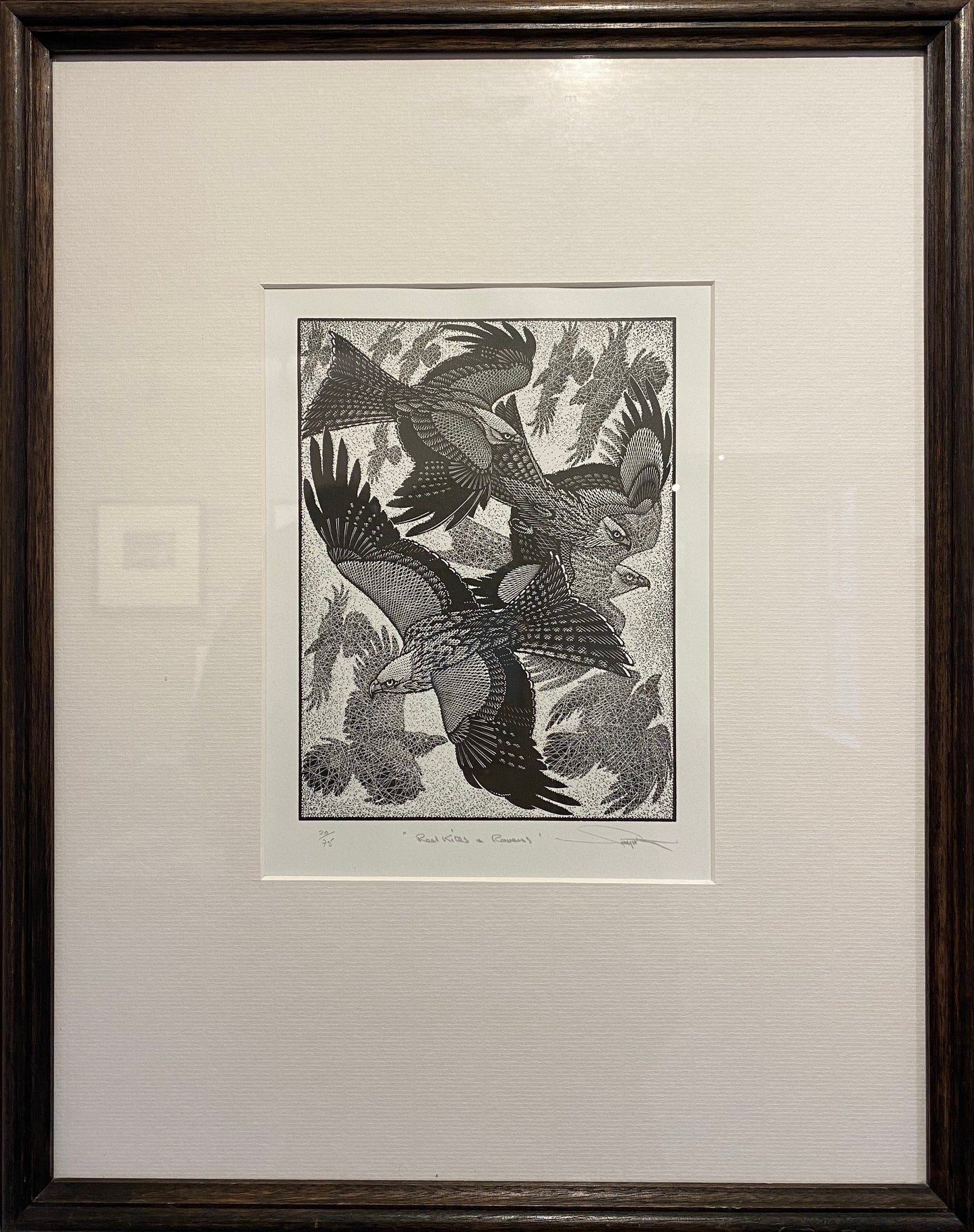 Redkites And Ravens