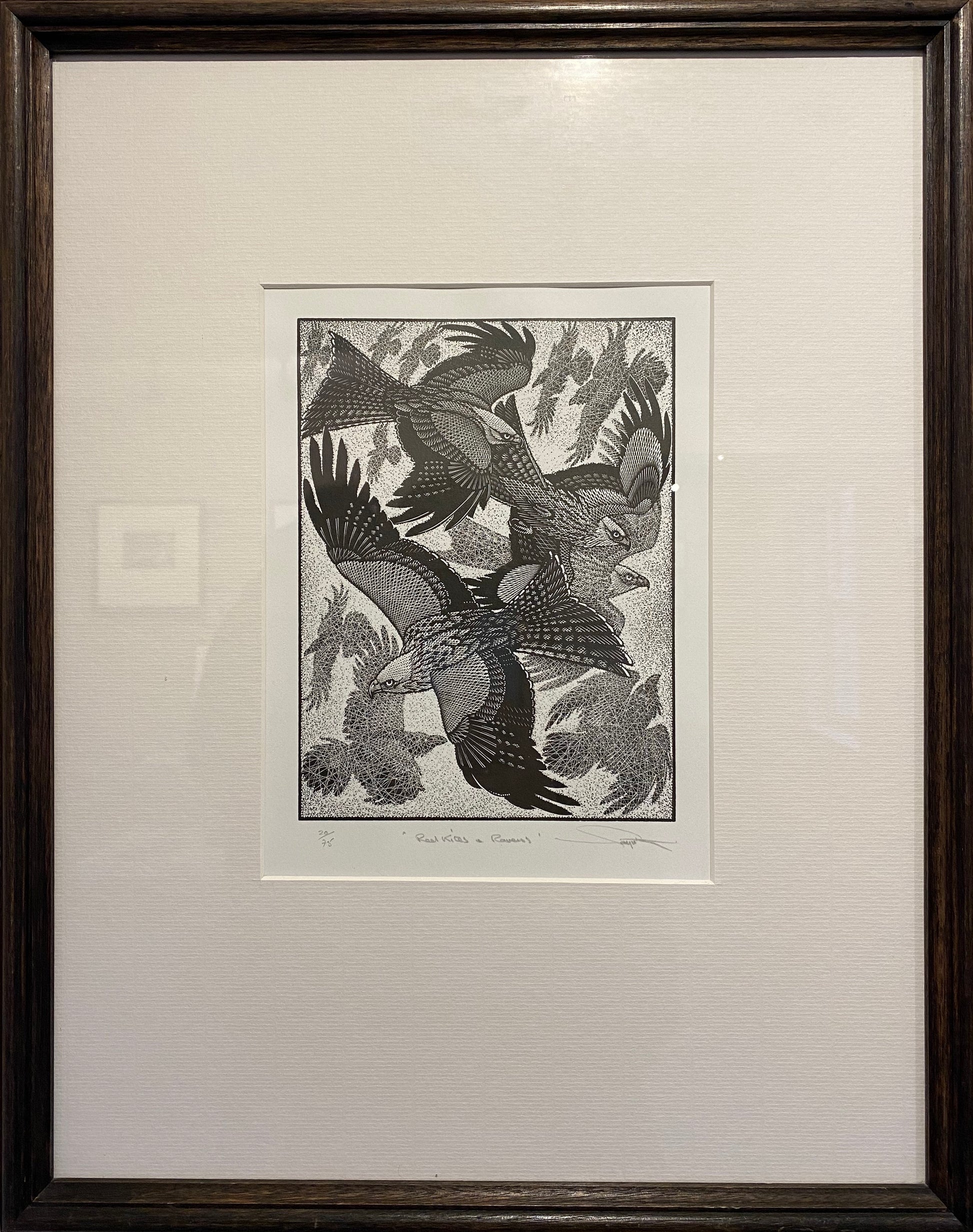 Redkites And Ravens