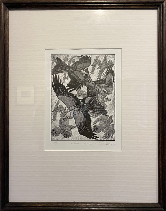 Redkites And Ravens
