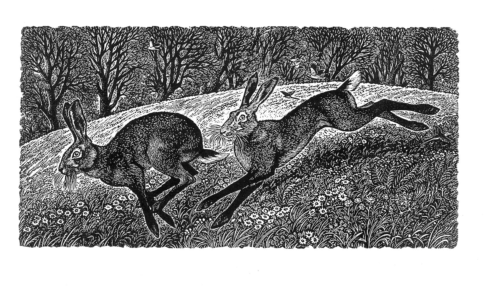 Running Hares