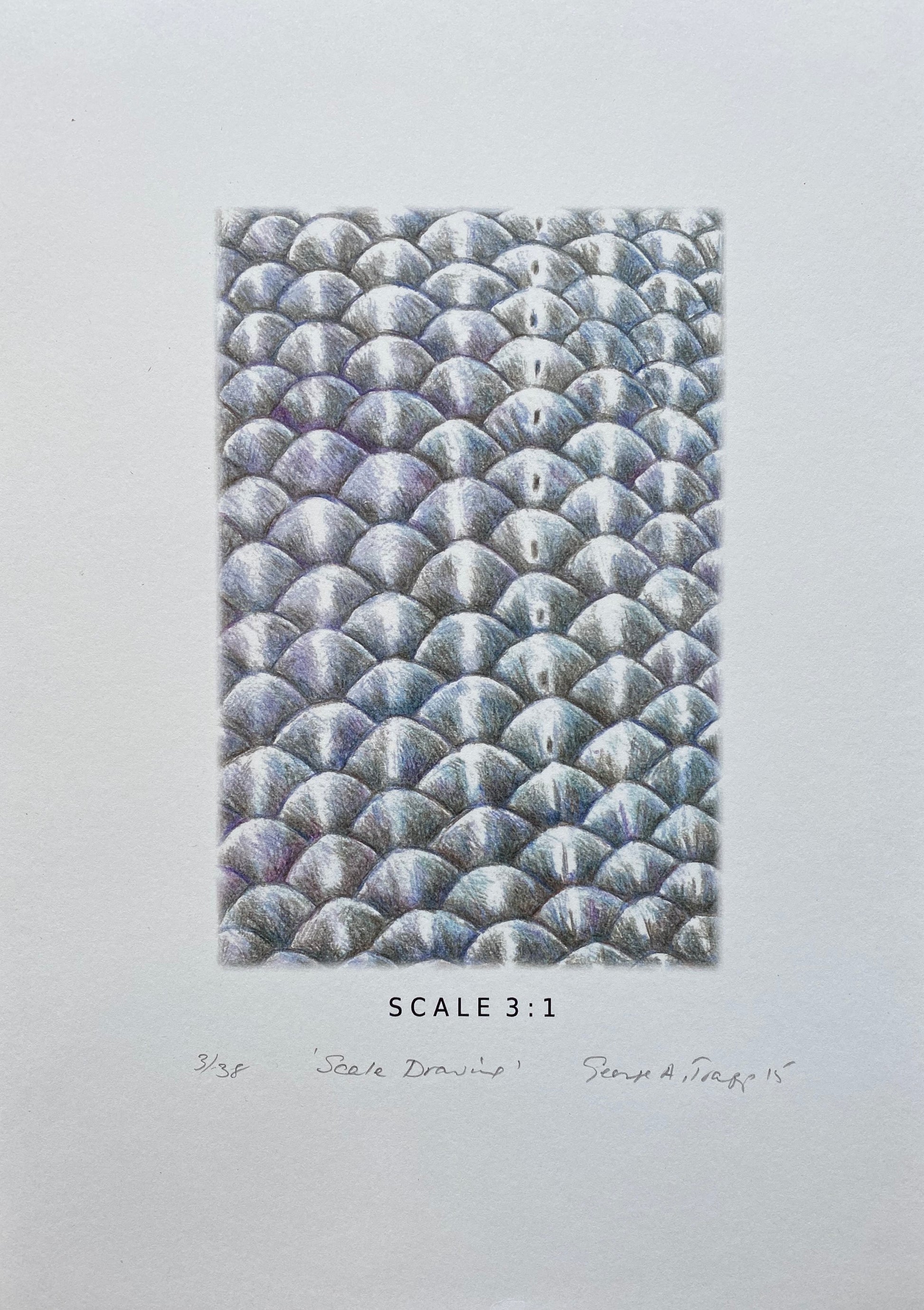 Scale Drawing – Zillah Bell Gallery