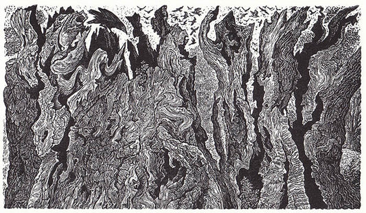 Ancient Oak