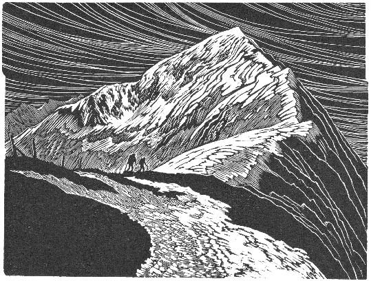 The Dark Ridge