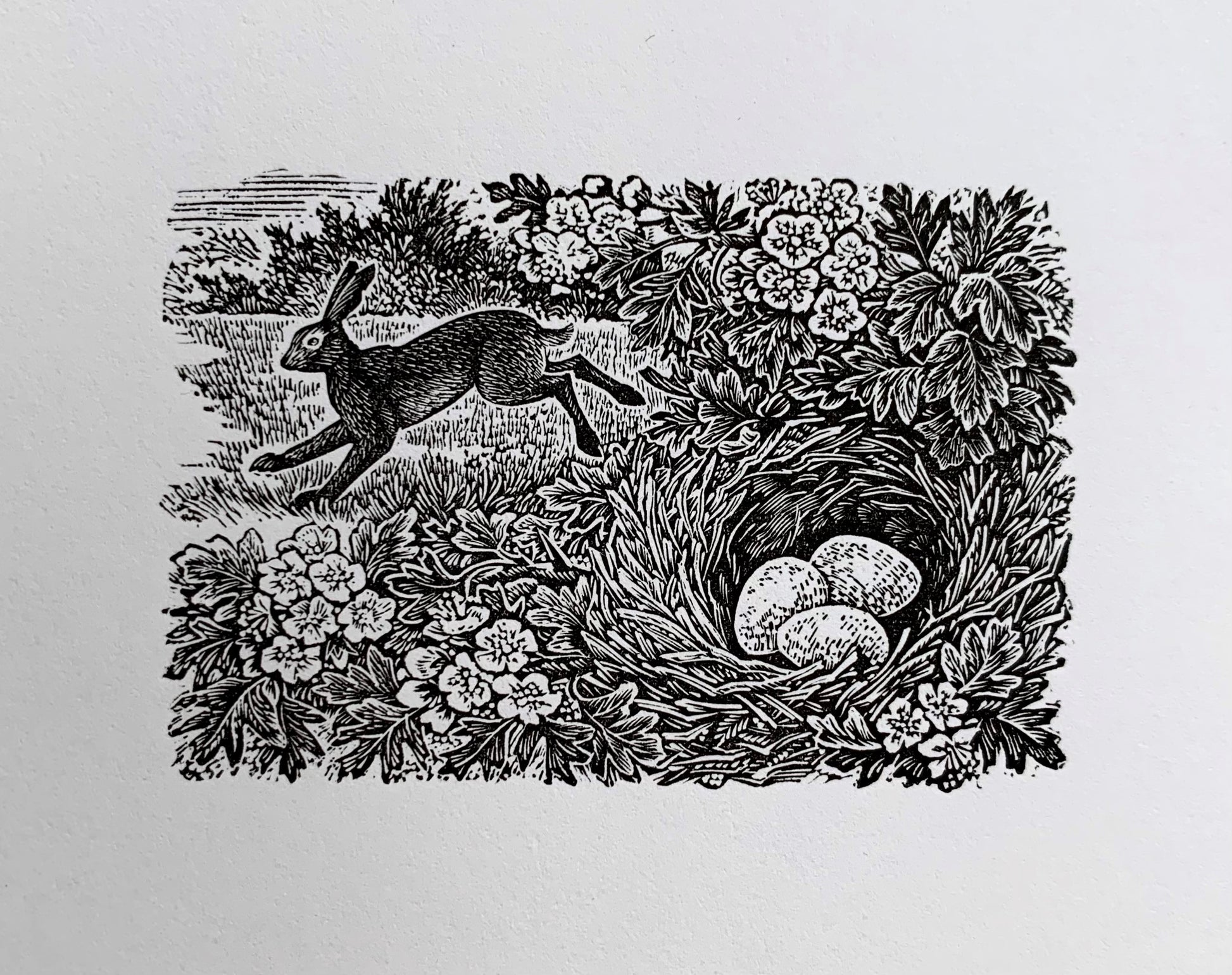 Springtime