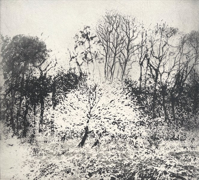 The Wychwood in Winter