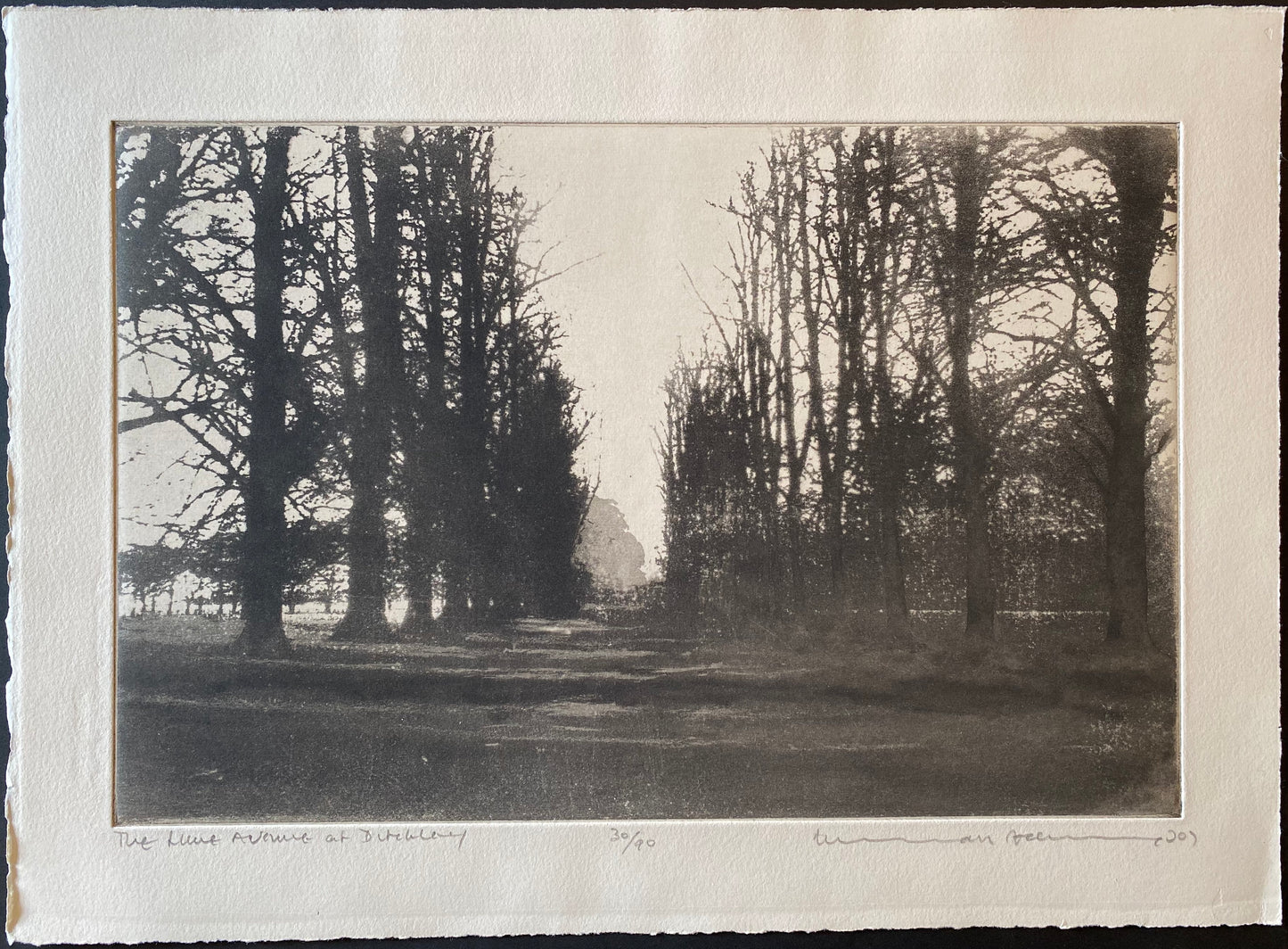The Lime Avenue, Ditchley