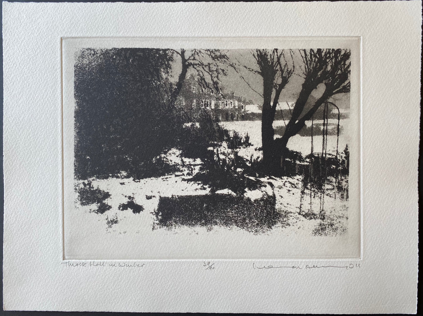 Thirsk Hall In Winter