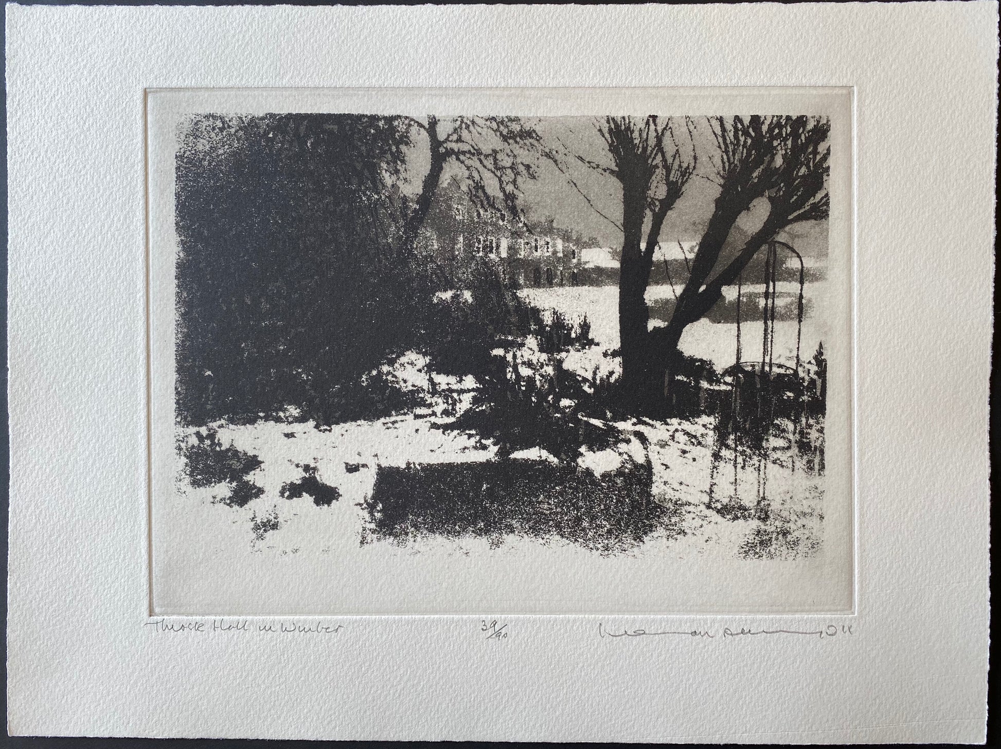 Thirsk Hall In Winter