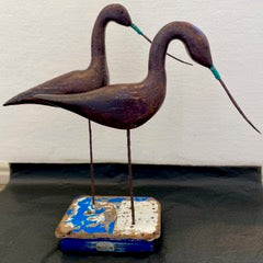 Black tailed Godwits