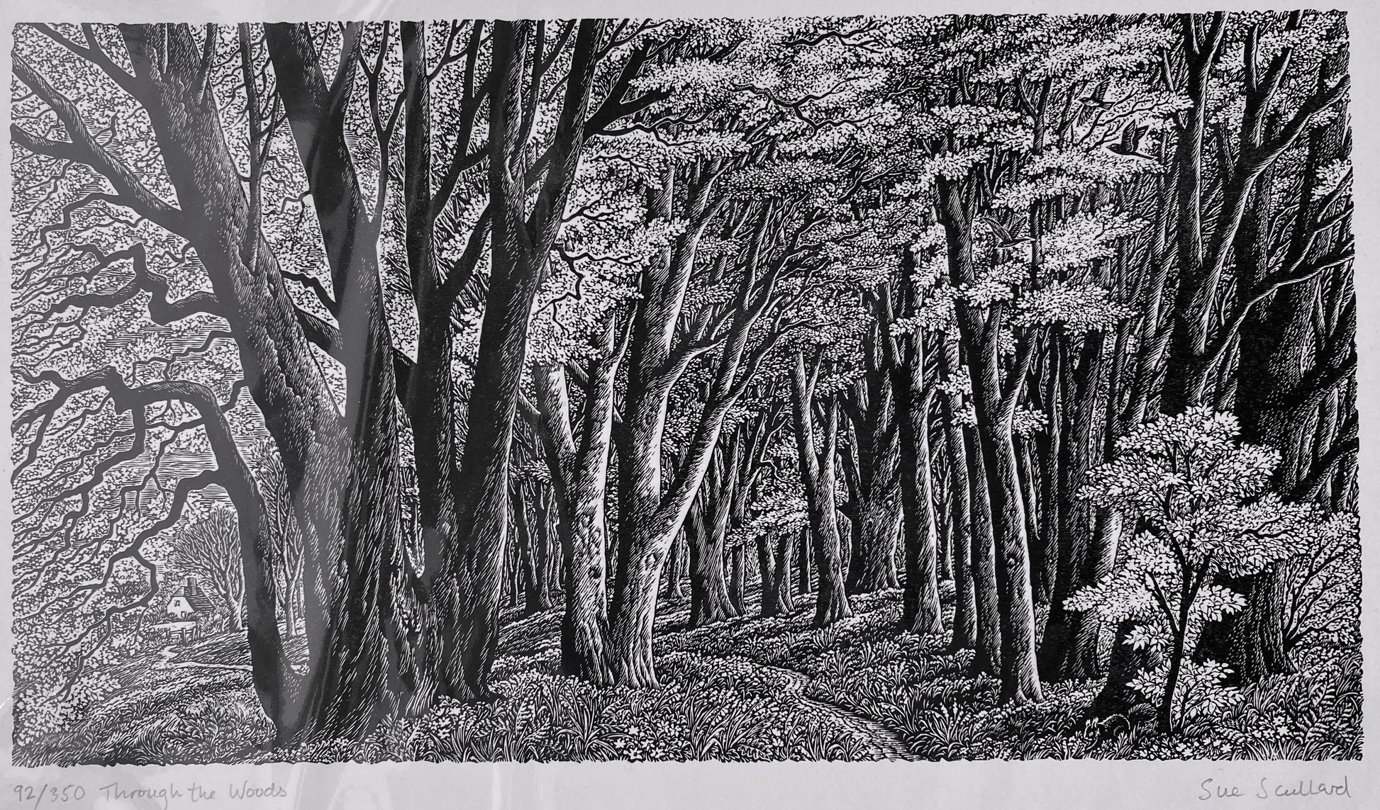 Through The Woods