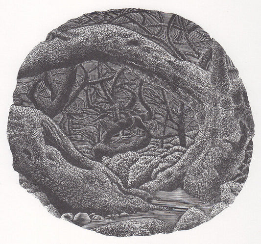 Wistman's Wood