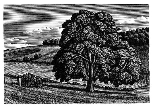 Wood on the Downs