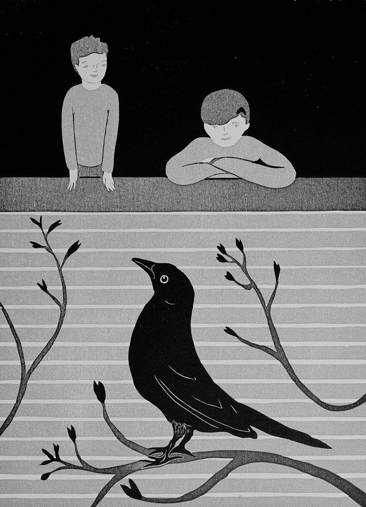 Bird Watchers