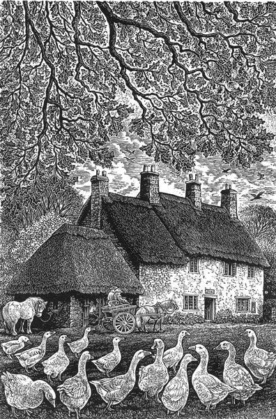 Candleford Green