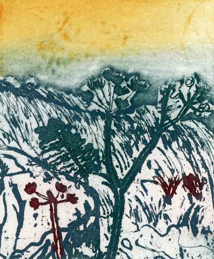 Cornish Landscape