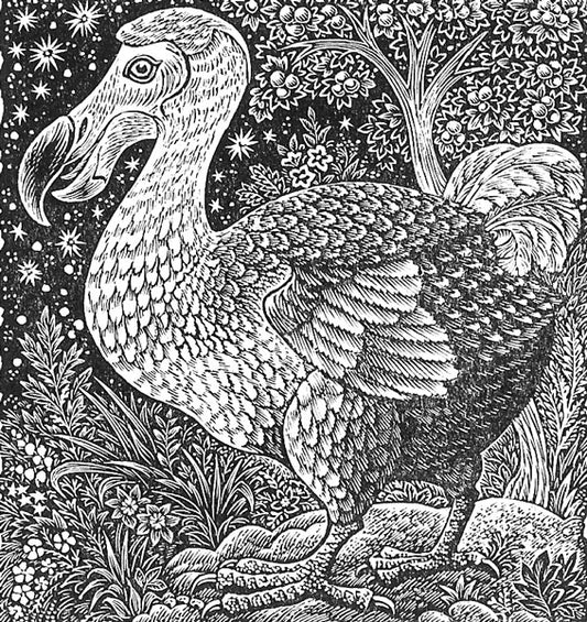 Dodo
