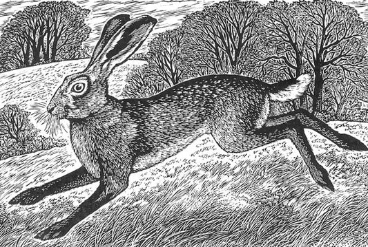 March Hare