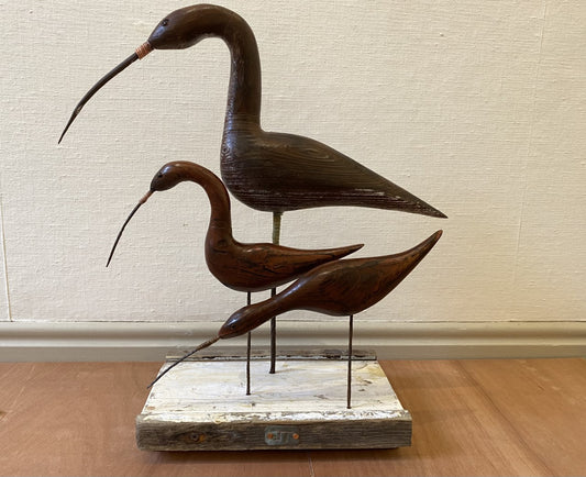 Curlew and her Young